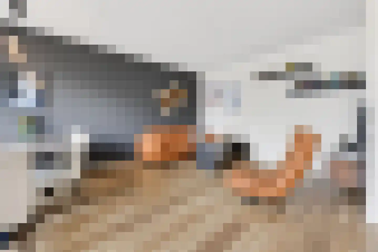 Clusiuserf 1 Boskoop thumbnail 15