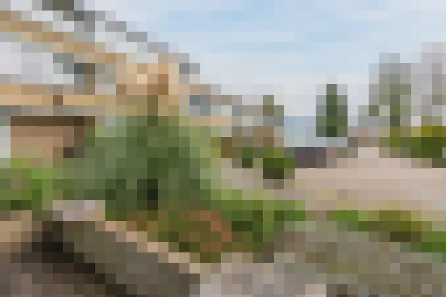 Clusiuserf 1 Boskoop thumbnail 25