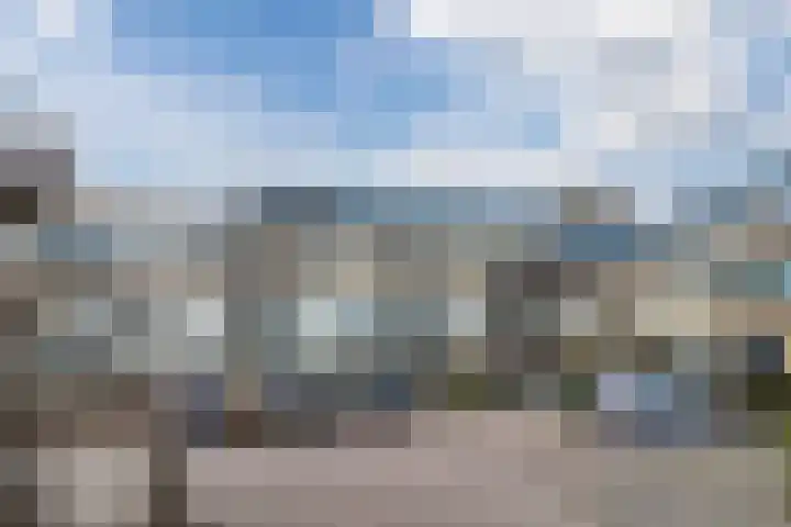 Clusiuserf 25 Boskoop