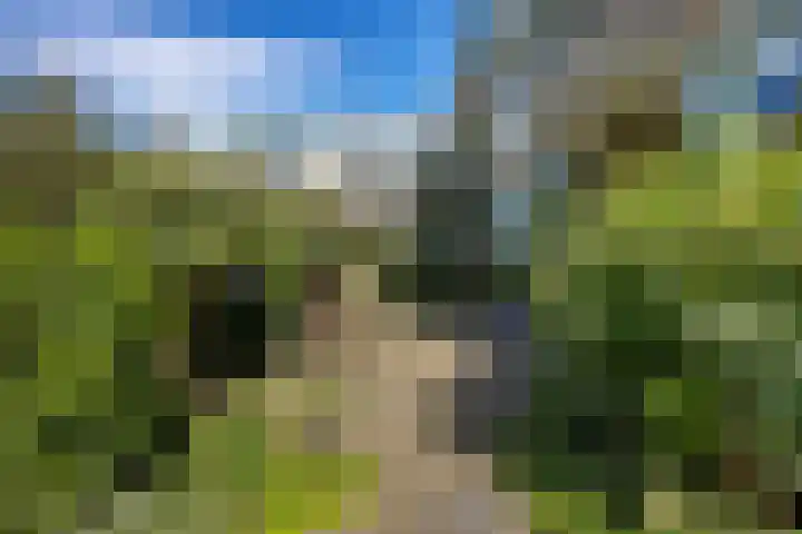 Clusiuserf 3 in Boskoop