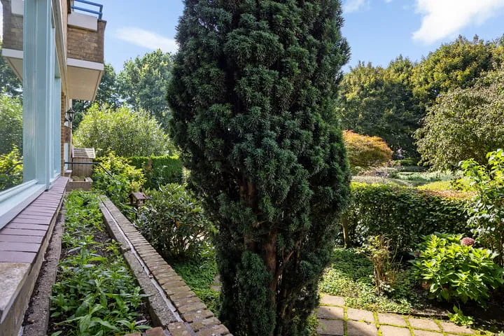 Clusiuserf 3 Boskoop thumbnail 18