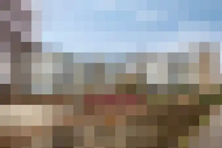 Clusiuserf 37 Boskoop