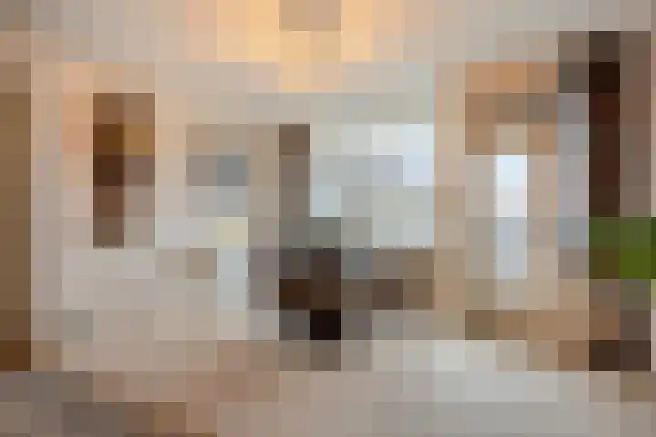 Clusiuserf 37 Boskoop thumbnail 10