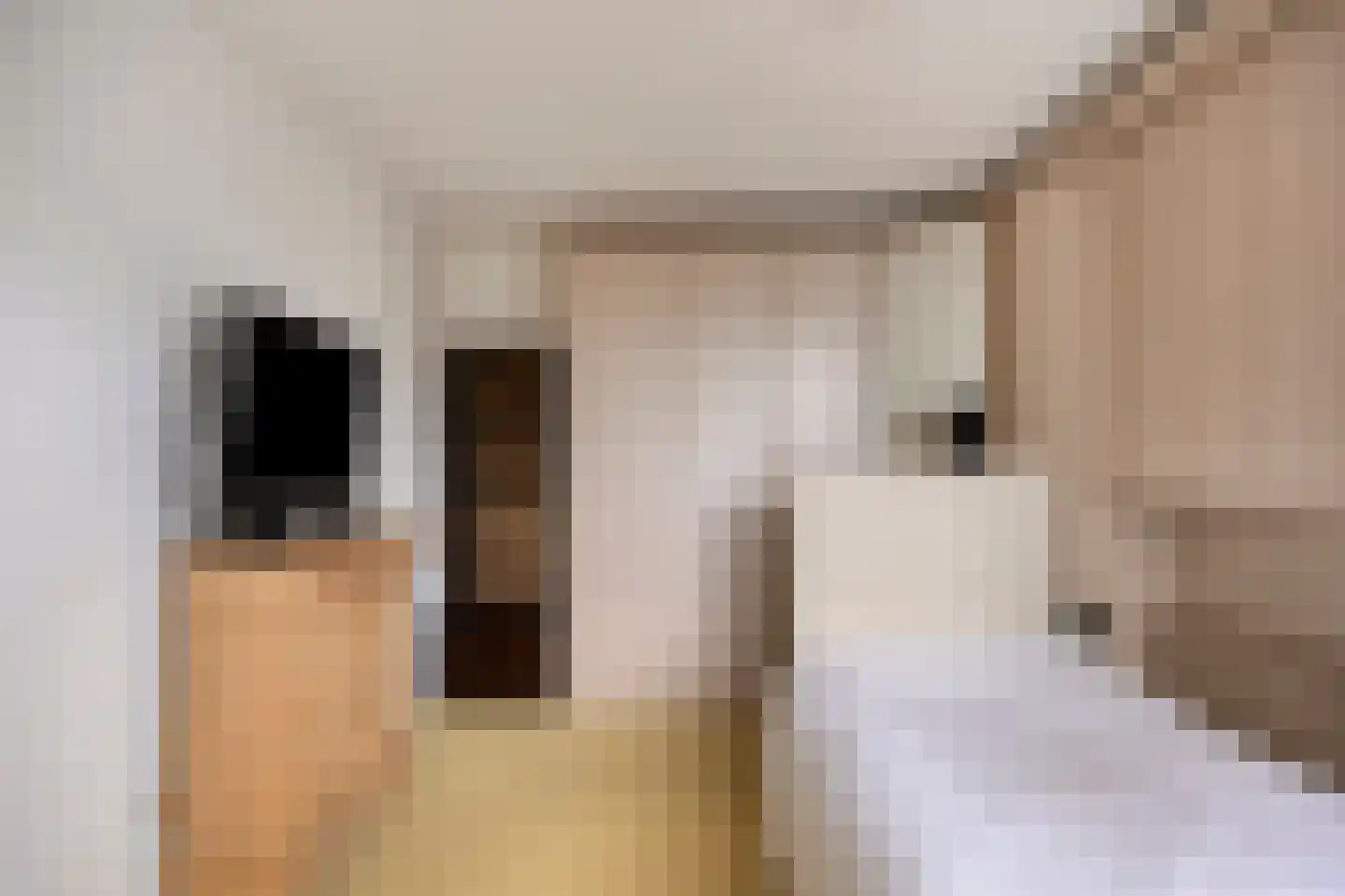 Clusiuserf 37 Boskoop thumbnail 14