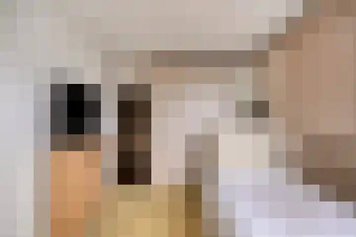 Clusiuserf 37 Boskoop thumbnail 14