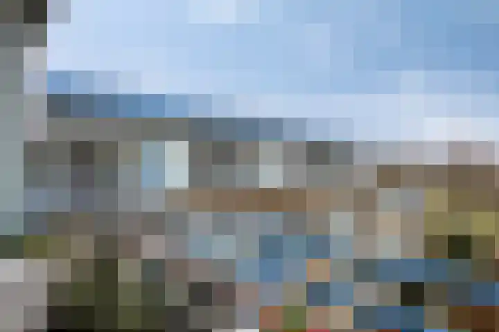 Clusiuserf 37 Boskoop thumbnail 20