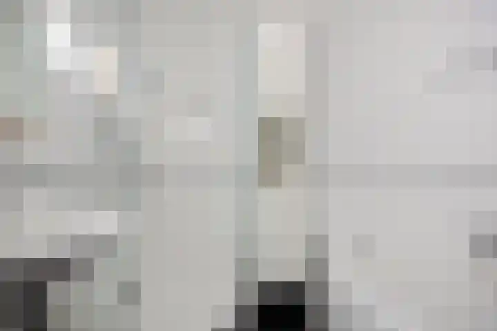 Clusiuserf 37 Boskoop thumbnail 21