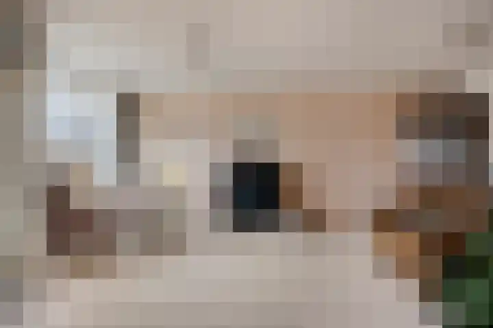 Clusiuserf 37 Boskoop thumbnail 5