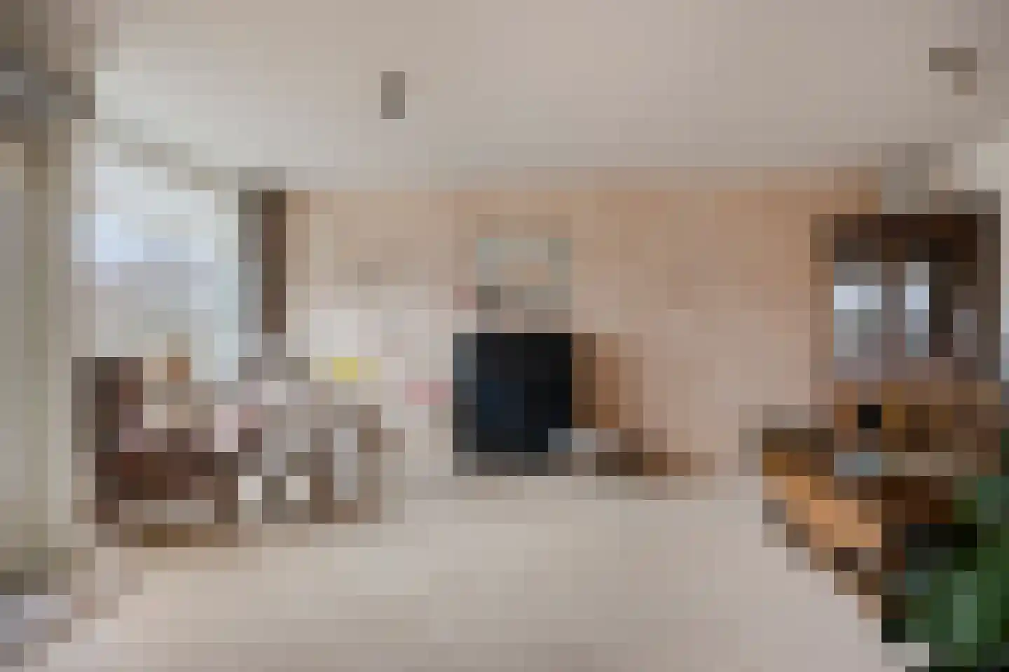 Clusiuserf 37 Boskoop thumbnail 5