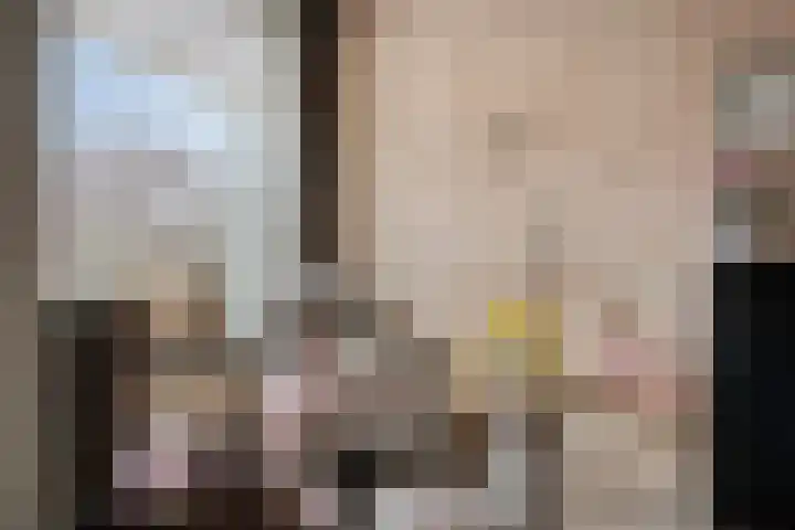Clusiuserf 37 Boskoop thumbnail 7