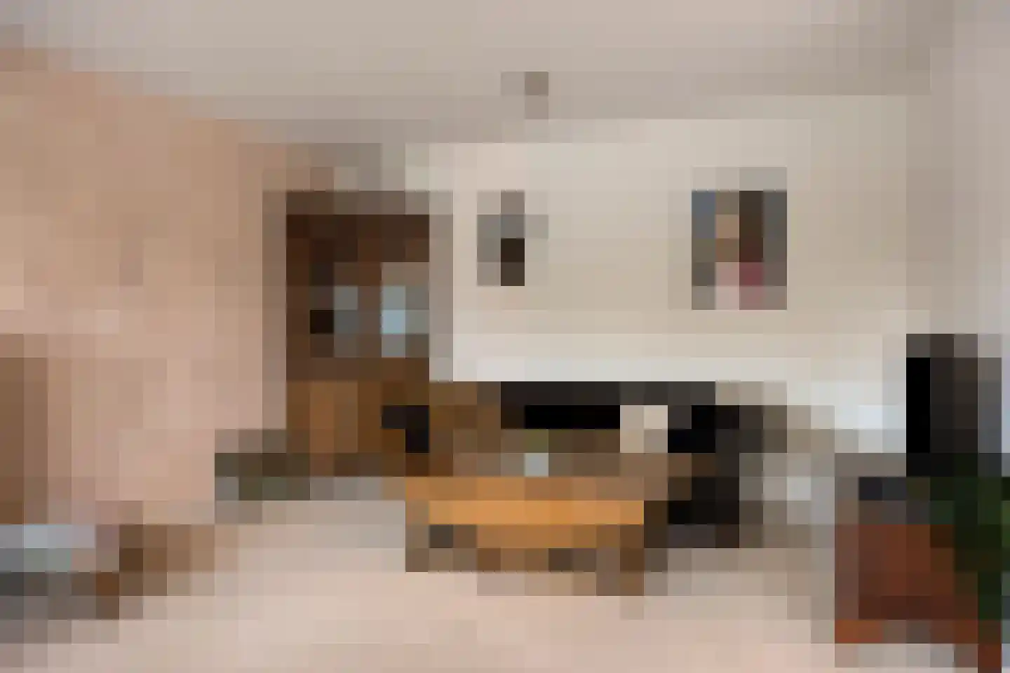 Clusiuserf 37 Boskoop thumbnail 8