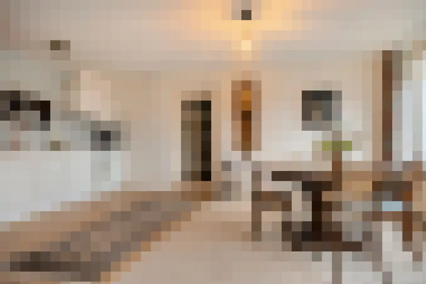 Clusiuserf 37 Boskoop thumbnail 9