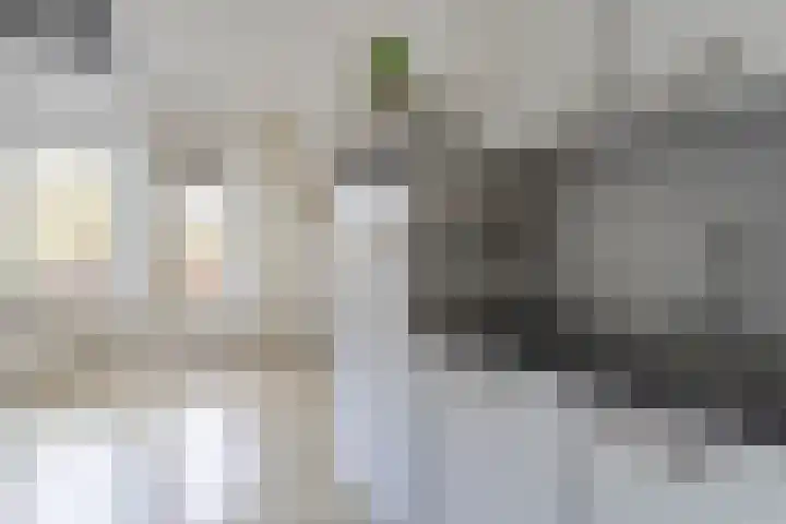 Clusiuserf 4 Boskoop thumbnail 10