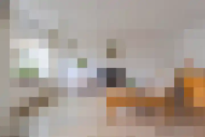 Clusiuserf 4 Boskoop thumbnail 11