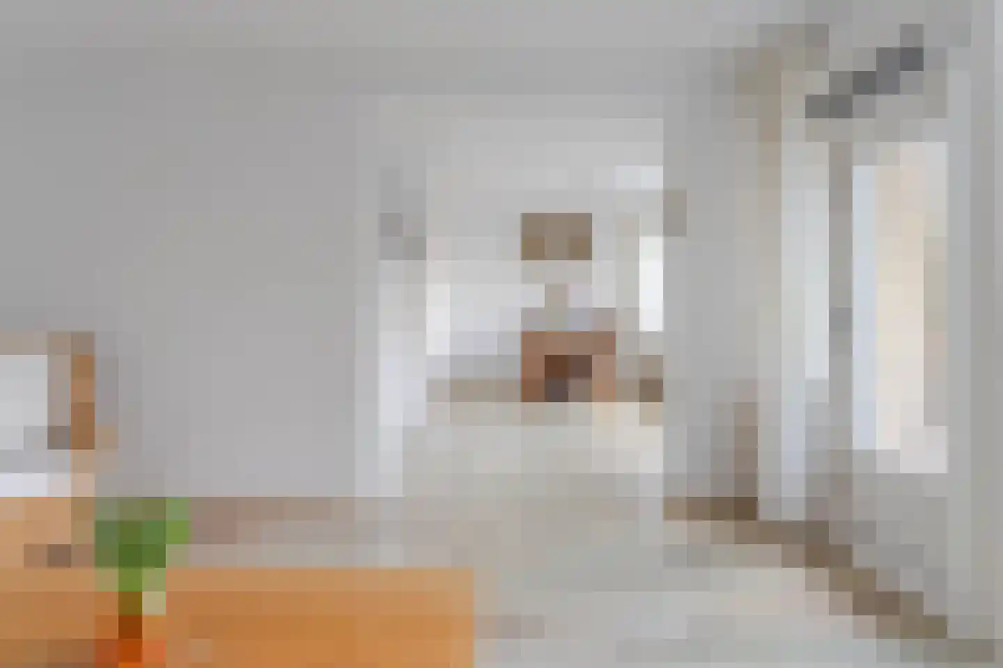 Clusiuserf 4 Boskoop thumbnail 13