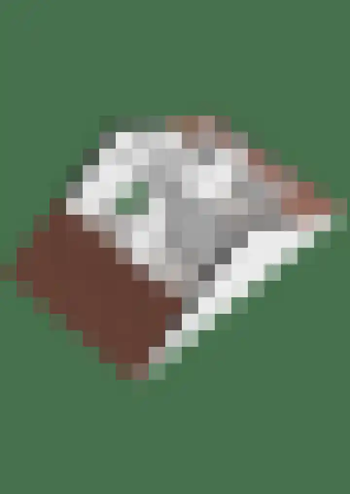 Clusiuserf 4 Boskoop thumbnail 13