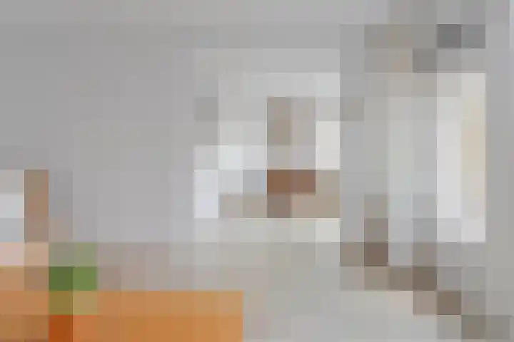 Clusiuserf 4 Boskoop thumbnail 13
