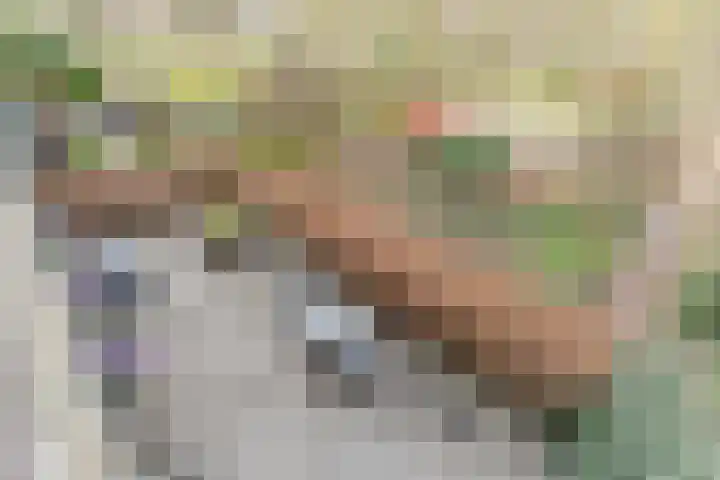 Clusiuserf 4 Boskoop thumbnail 23