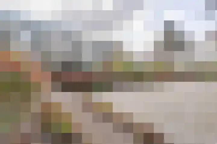 Clusiuserf 4 Boskoop thumbnail 24