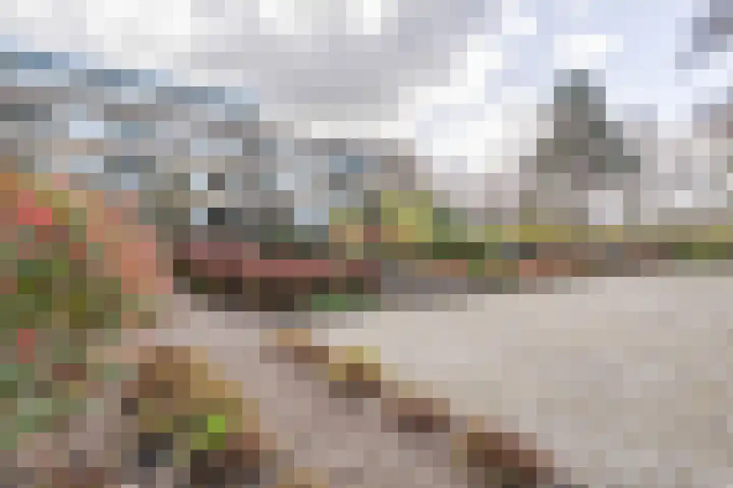 Clusiuserf 4 Boskoop thumbnail 24