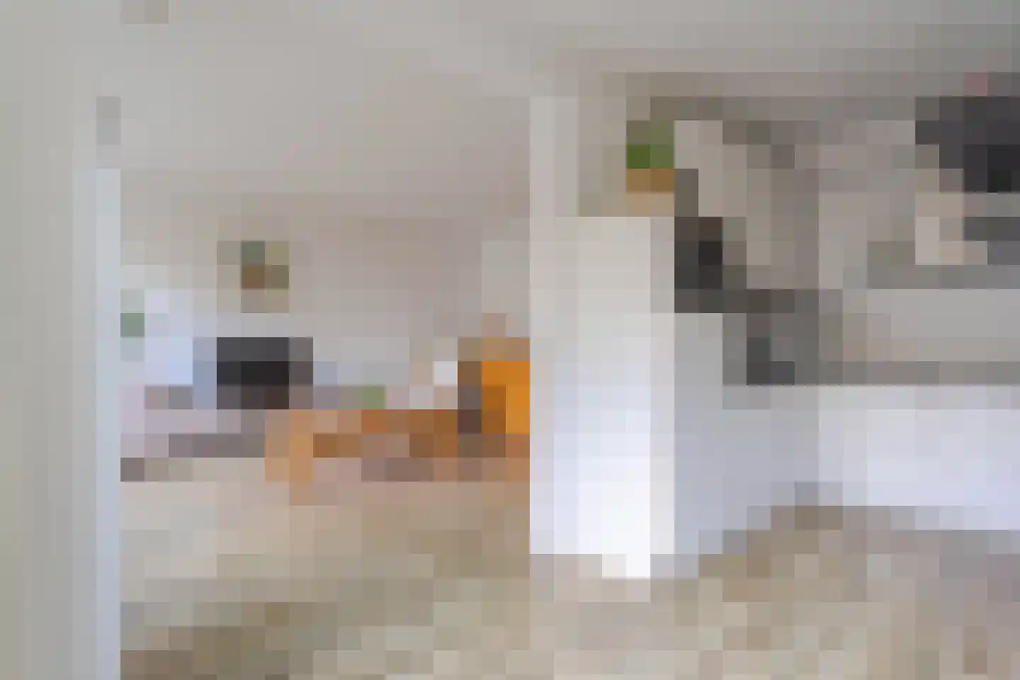 Clusiuserf 4 Boskoop thumbnail 8