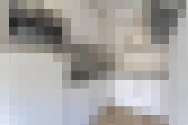 Clusiuserf 4 Boskoop thumbnail 9