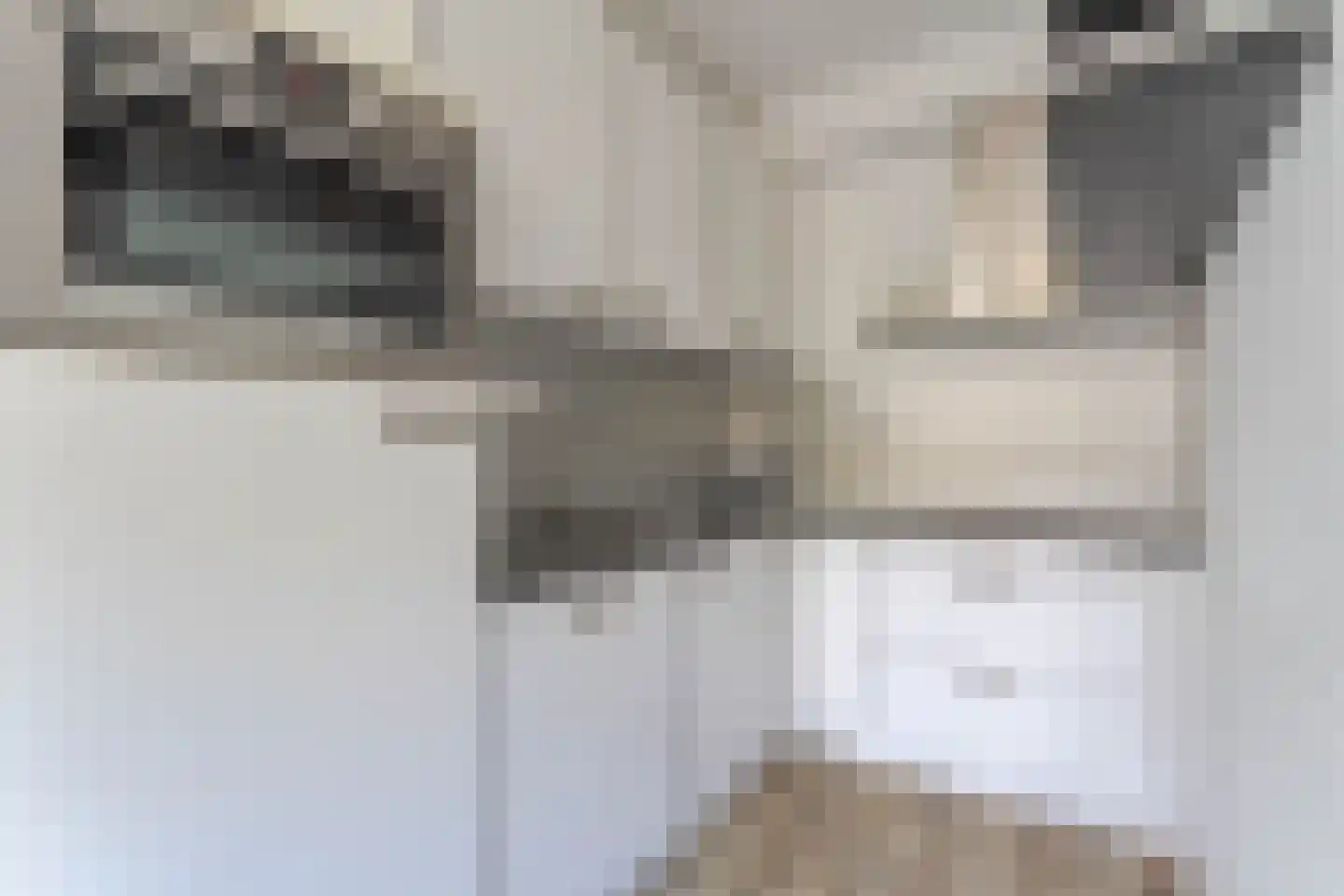 Clusiuserf 4 Boskoop thumbnail 9