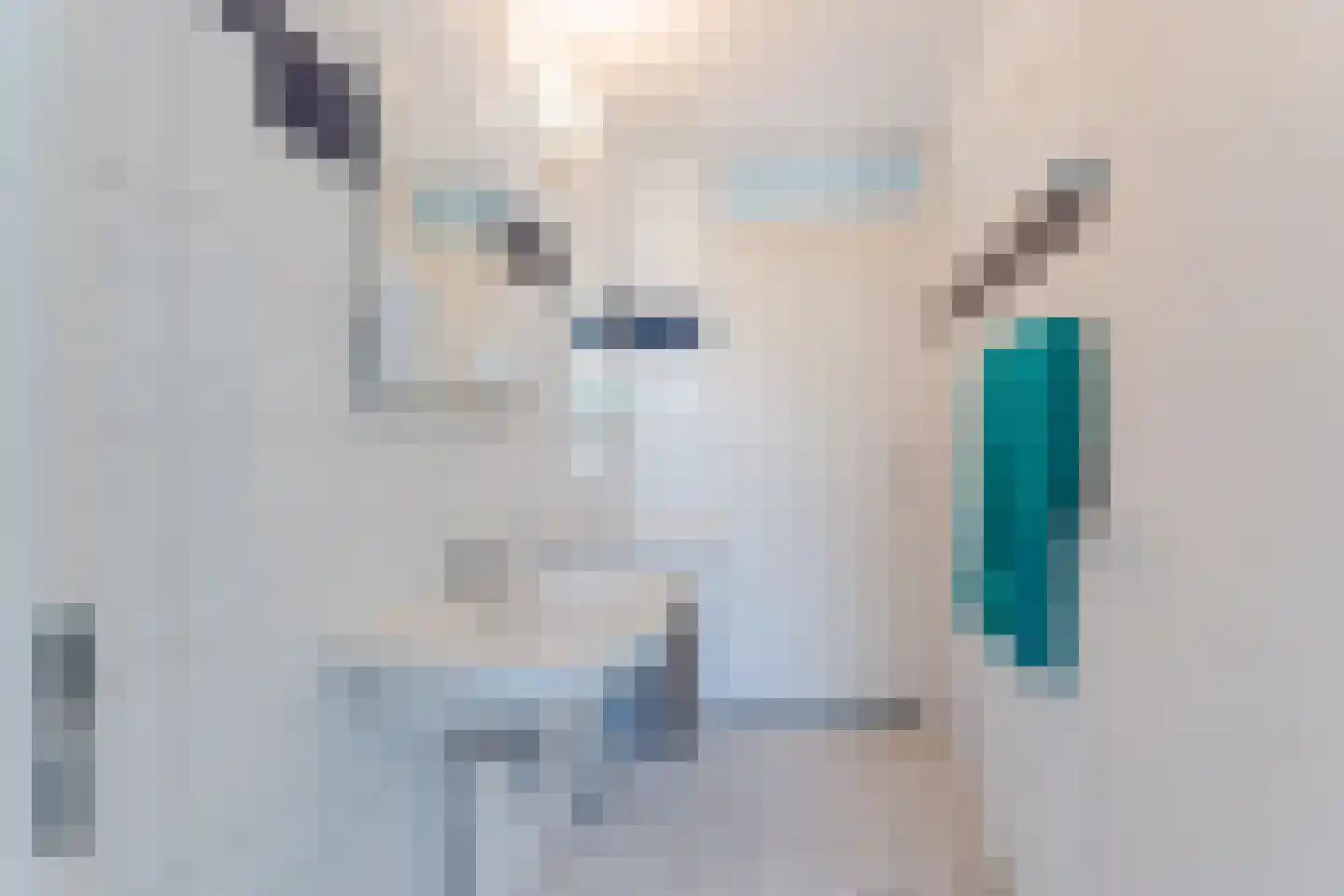Clusiuserf 8 Boskoop thumbnail 16