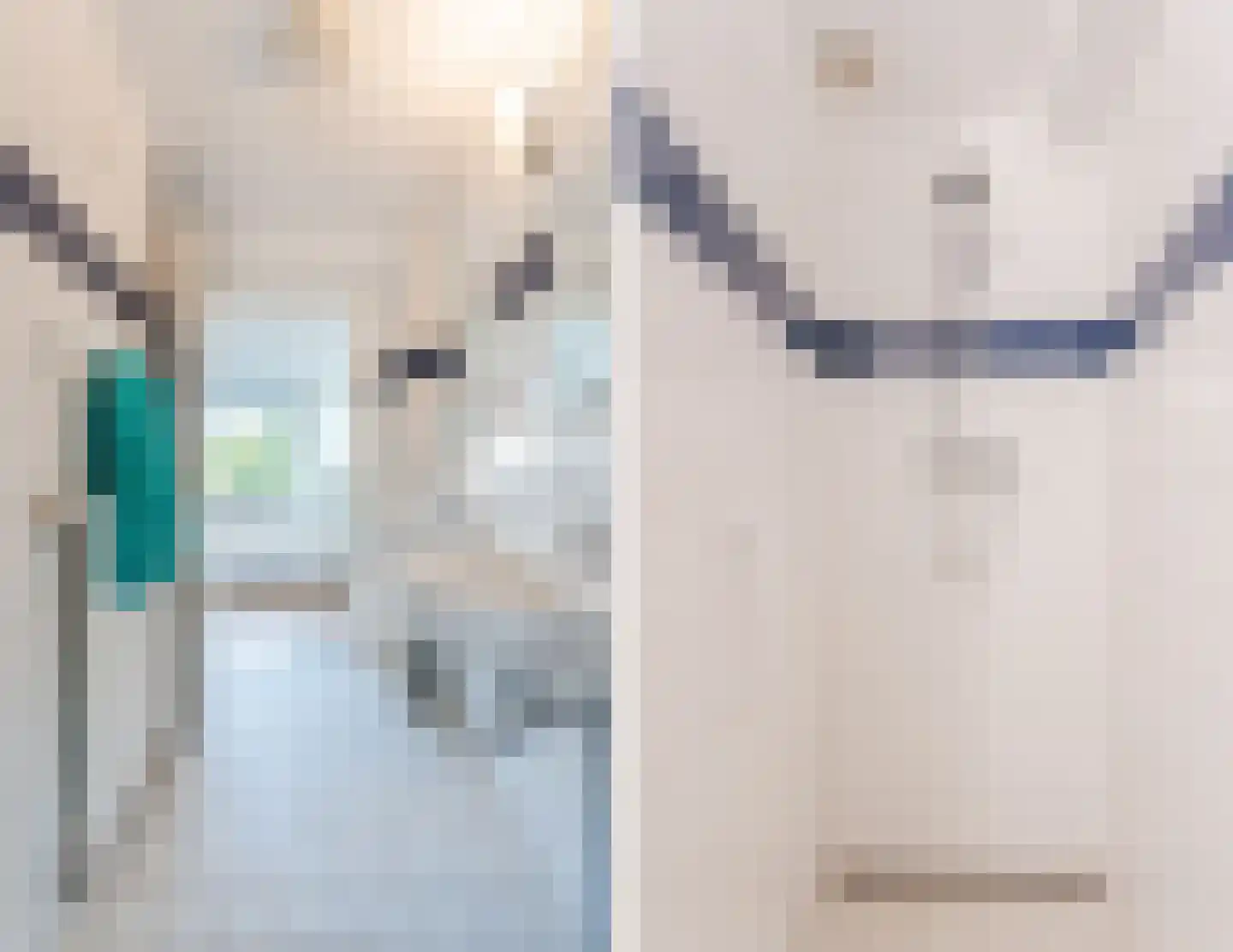 Clusiuserf 8 Boskoop thumbnail 17
