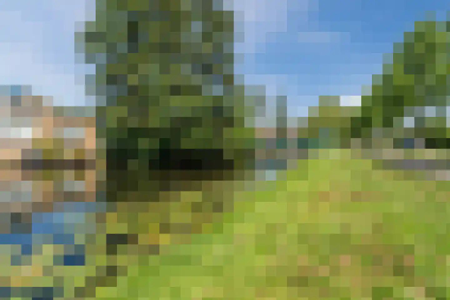 Clusiuserf 8 Boskoop thumbnail 25