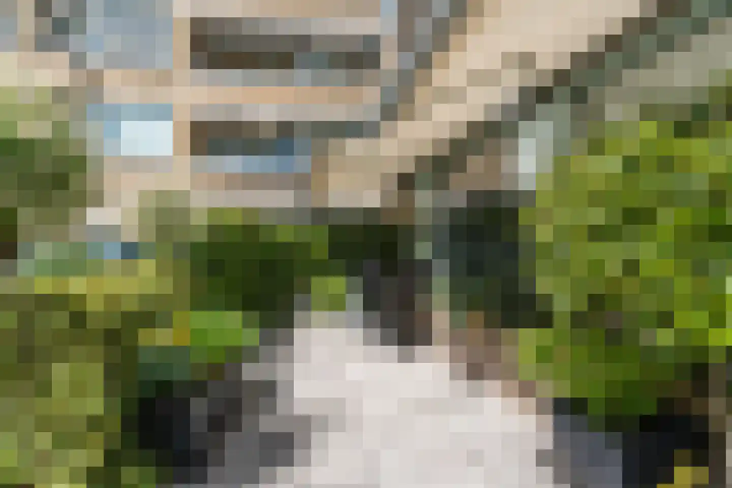 Clusiuserf 8 Boskoop thumbnail 4