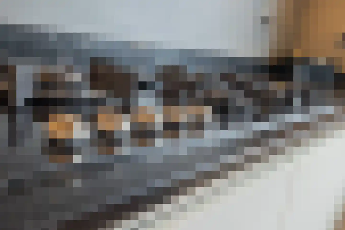 Clusiushof 118 Hillegom thumbnail 15