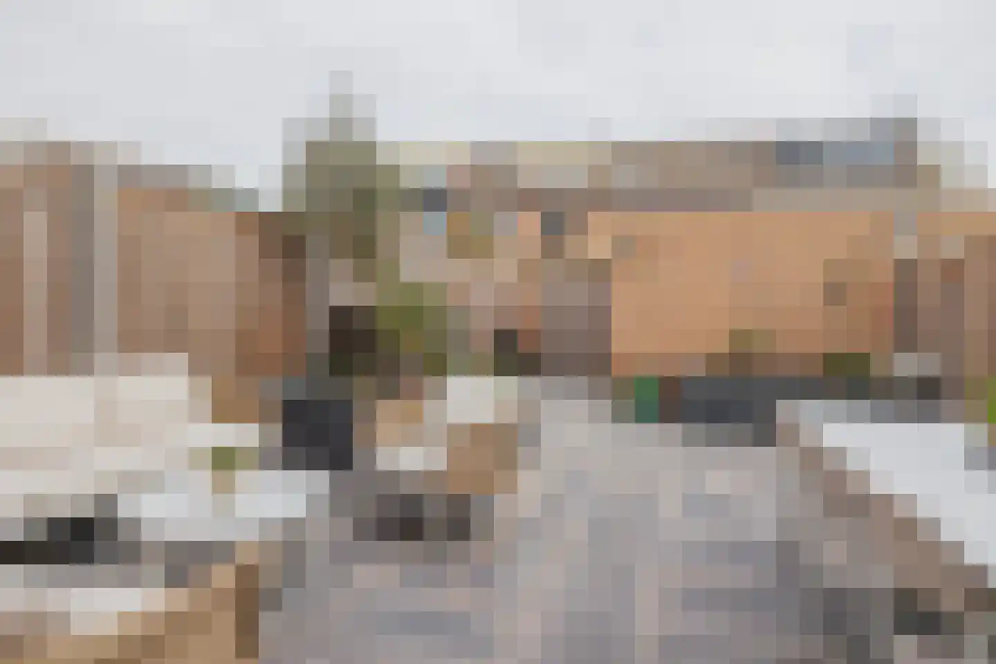 Clusiushof 118 Hillegom thumbnail 22