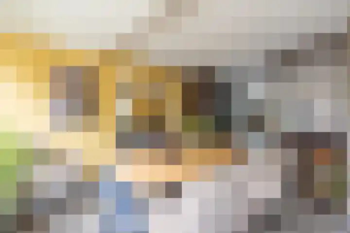 Clusiushof 136 Hillegom thumbnail 14