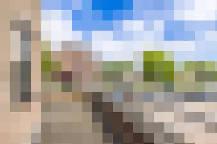 Clusiushof 136 Hillegom thumbnail 24