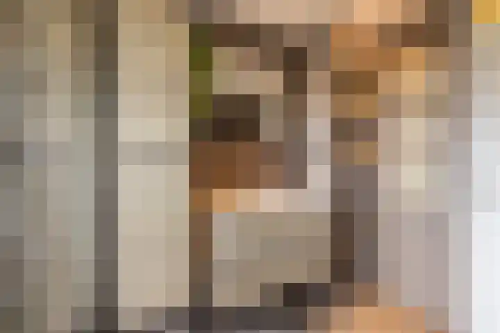 Clusiushof 136 Hillegom thumbnail 30