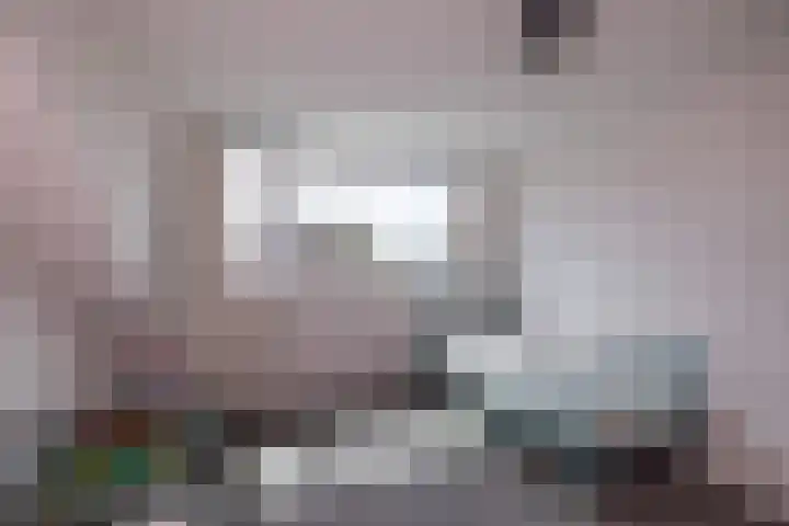 Clusiushof 136 Hillegom thumbnail 37