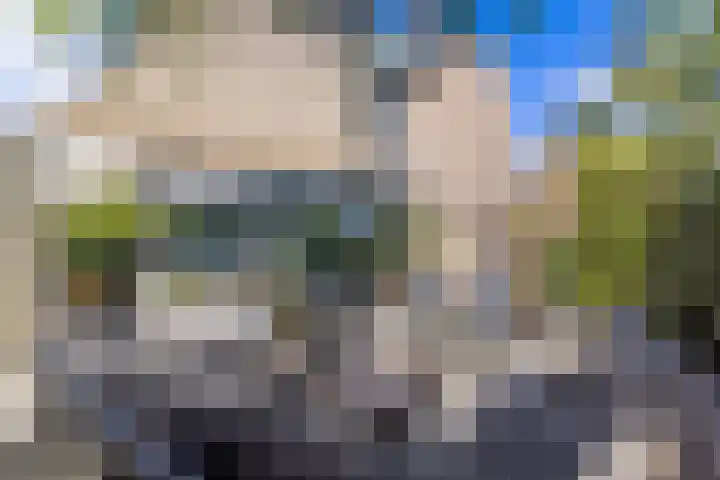 Clusiushof 136 Hillegom thumbnail 39