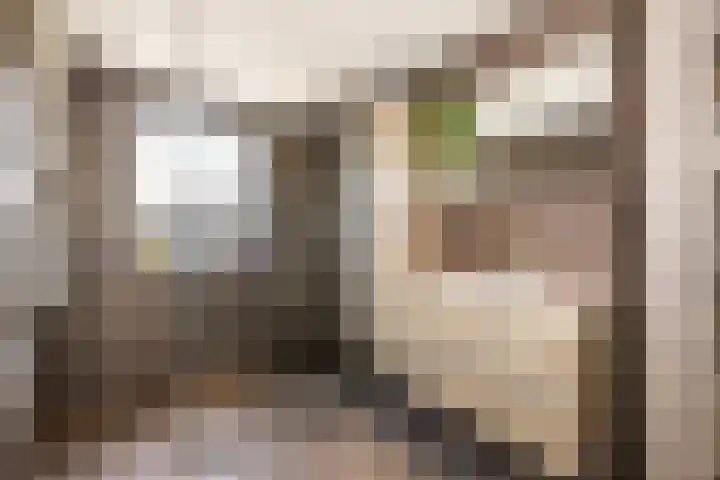 Clusiushof 136 Hillegom thumbnail 4
