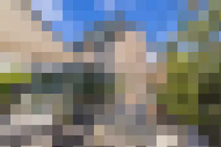 Clusiushof 136 Hillegom thumbnail 41