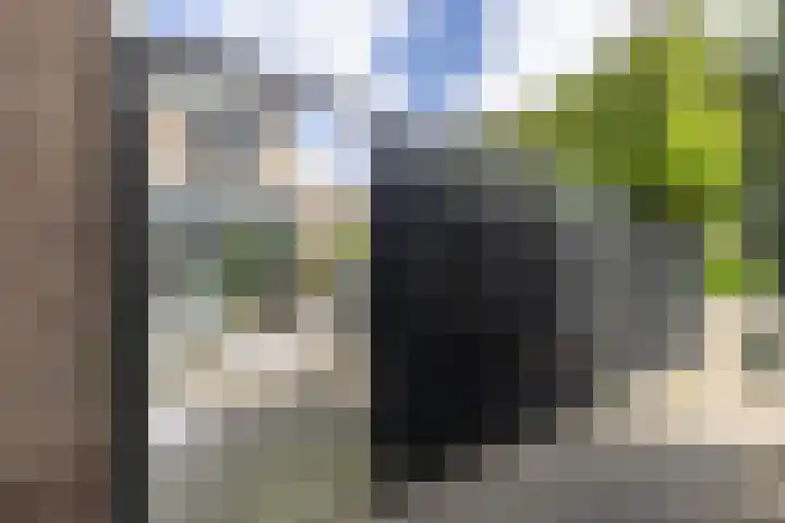 Clusiushof 136 Hillegom thumbnail 48