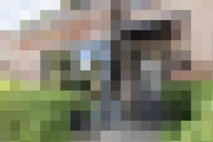 Clusiushof 136 Hillegom thumbnail 6