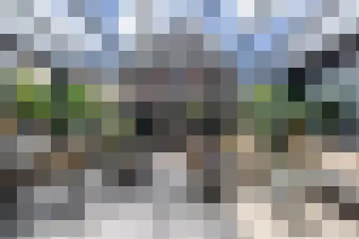Clusiushof 136 Hillegom thumbnail 9