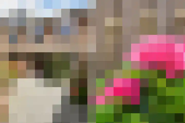 Clusiushof 158 Hillegom thumbnail 6