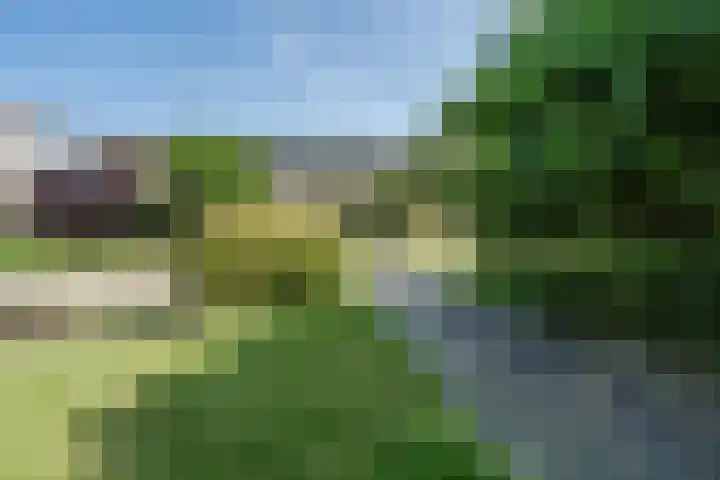 Clusiushof 74 Oegstgeest thumbnail 51