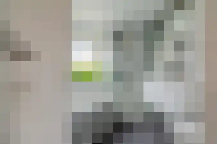 Clusiuslaan 313 Zaandam thumbnail 22