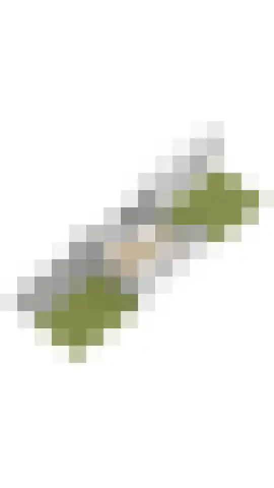 Clusiuslaan 313 Zaandam thumbnail 43