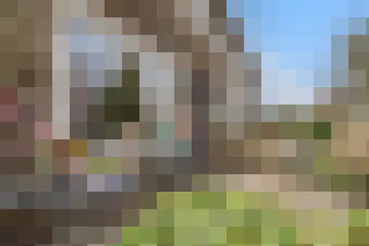 Clusiuslaan 313 Zaandam thumbnail 5