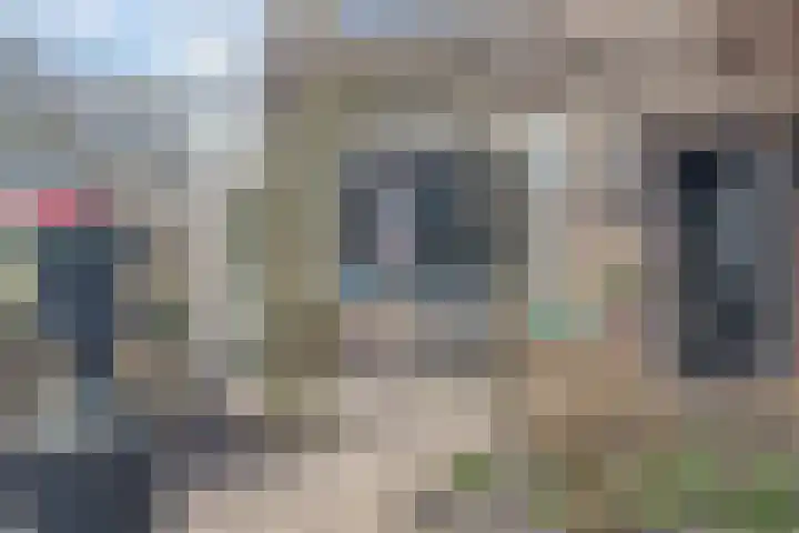 Clusiuslaan 313 Zaandam thumbnail 6