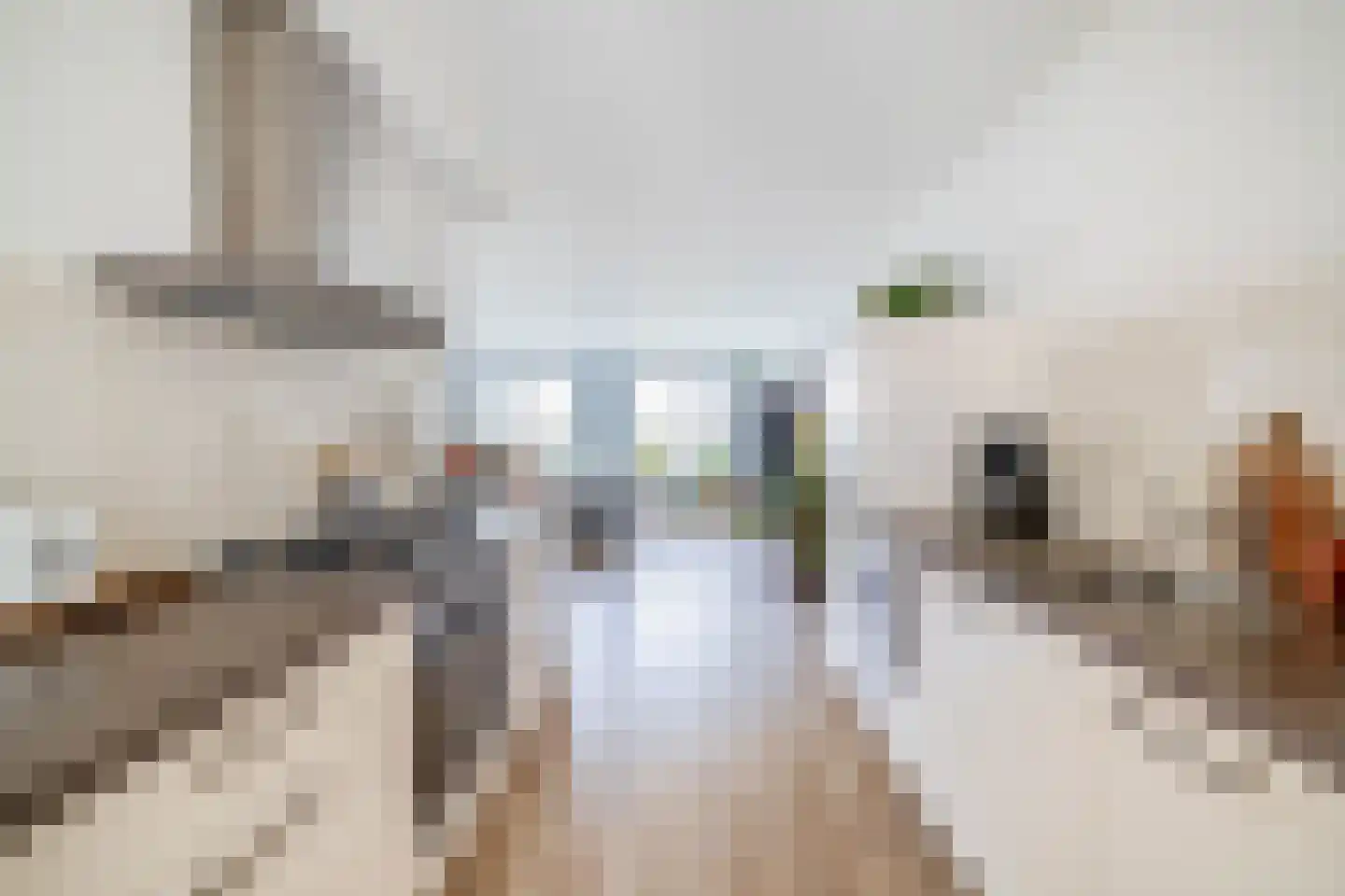 Clusiusstraat 120 Lisse thumbnail 12